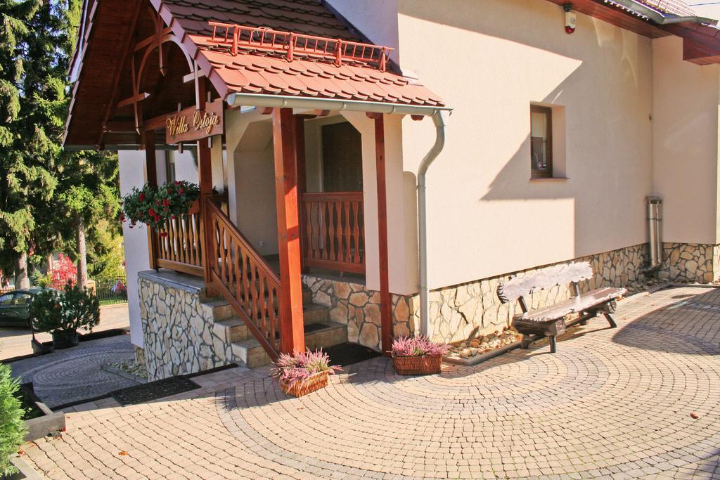 Willa Ostoja Swieradow-Zdroj Ngoại thất bức ảnh
